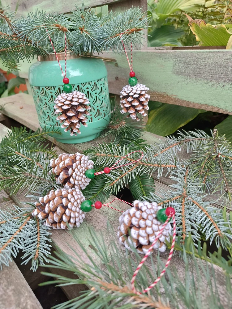 Šiska v americkém stylu 