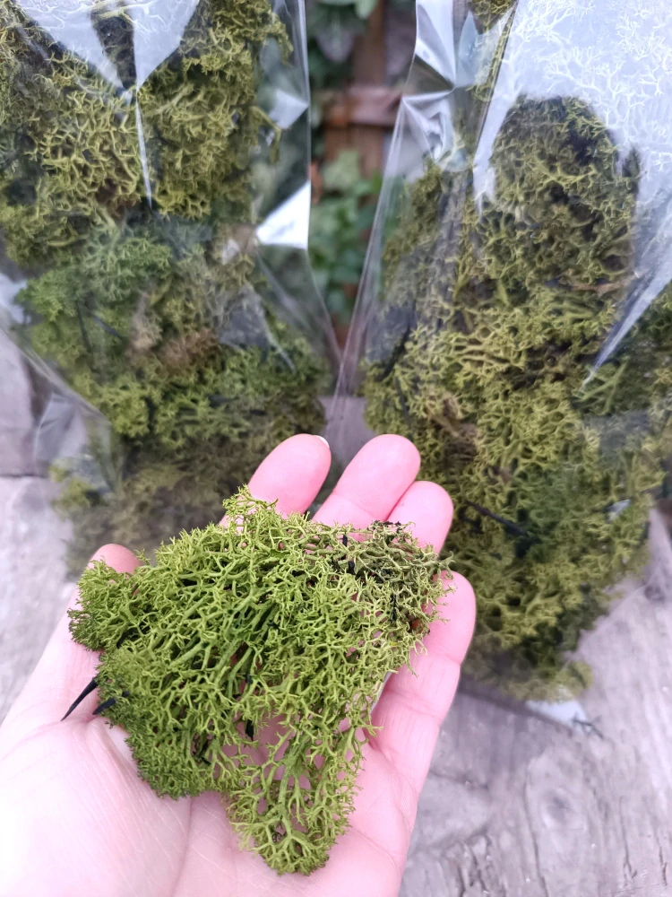 Zelený stabilizovaný mech