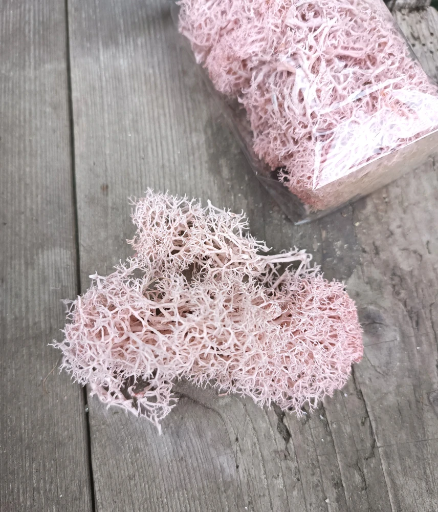 Stabilizovaný mech světle růžový