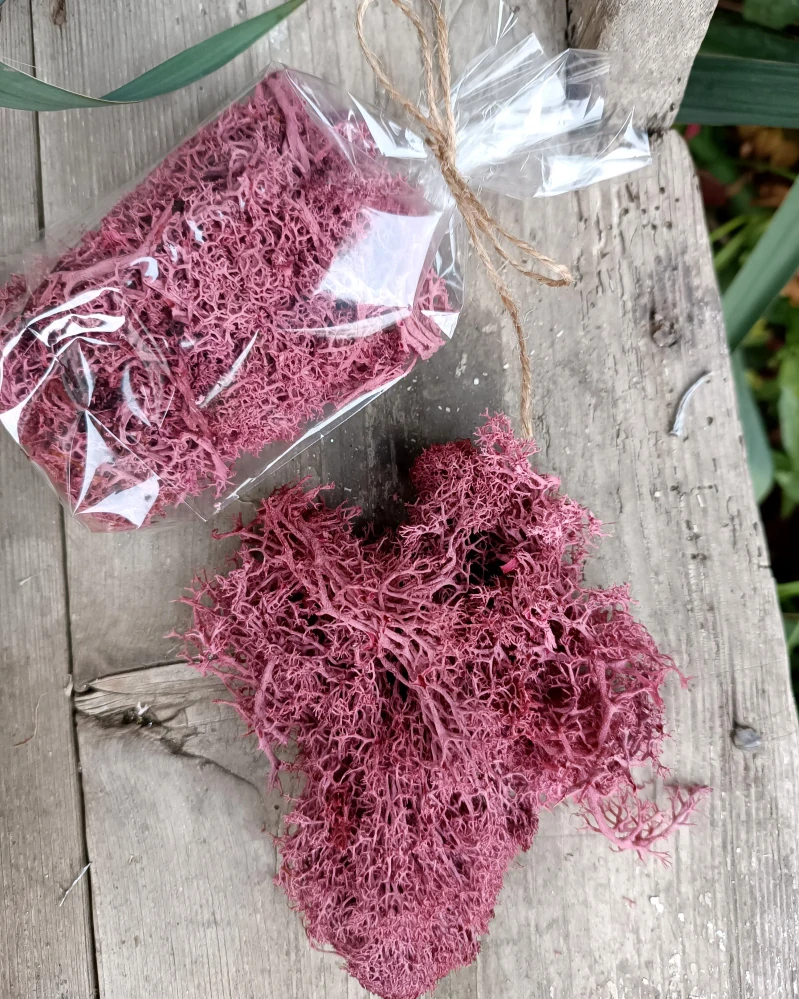 Stabilizovaný mech tmavě růžový