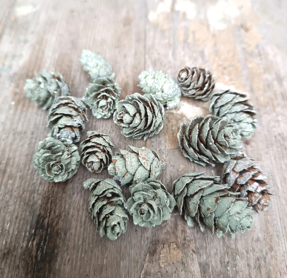 Zelené modřínové šištičky 