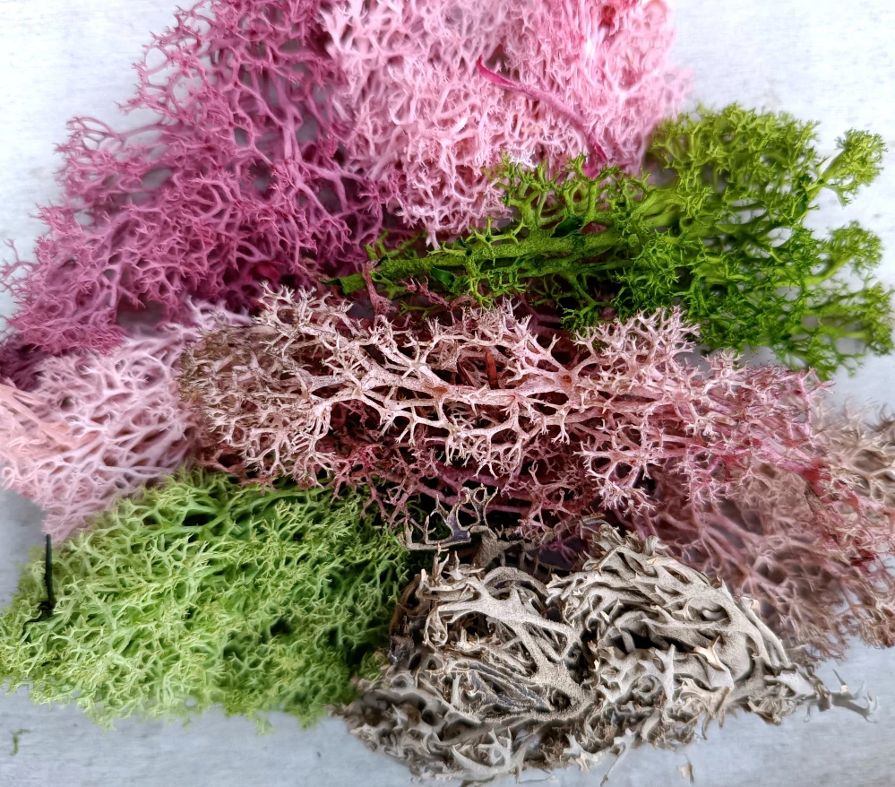 Mix stabilizovaného mechu