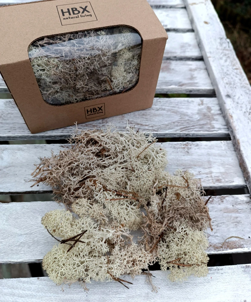 Bělený stabilizovaný mech