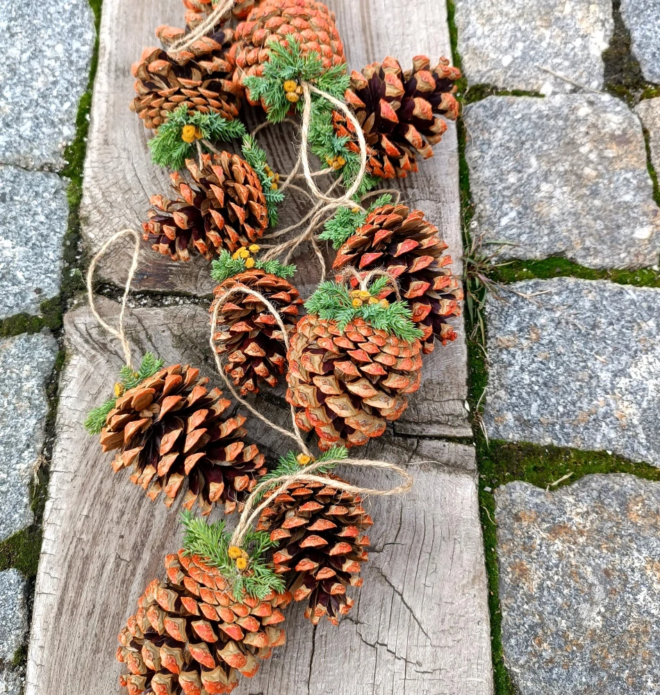 Podzimní šiška, závěs 