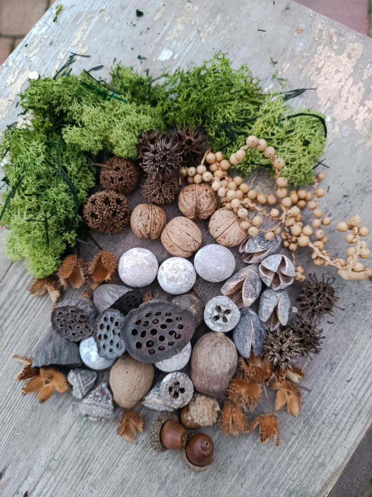 Mix trvanlivých přírodnin 