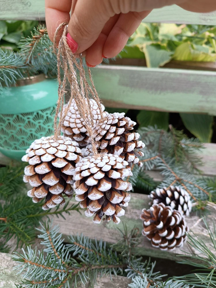 Šiška na jutovém provázku 