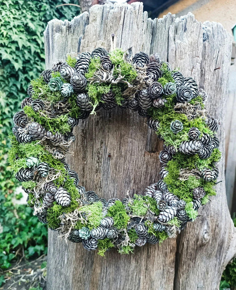 První jarní tráva