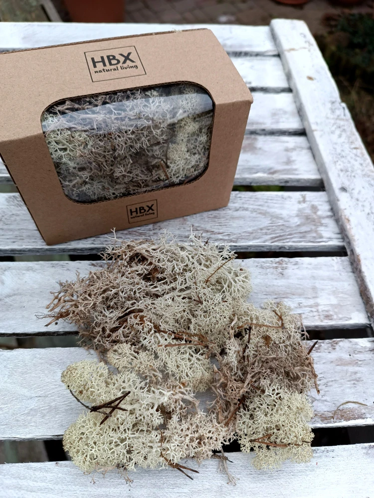 Bělený stabilizovaný mech