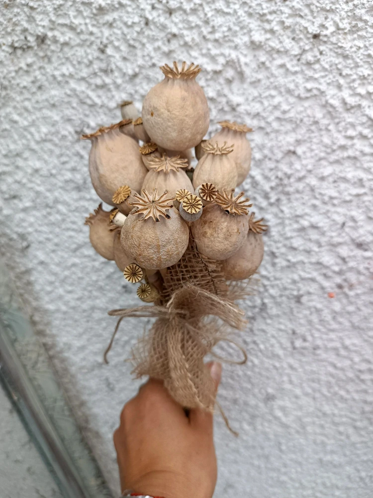 Makovice a makovičky 