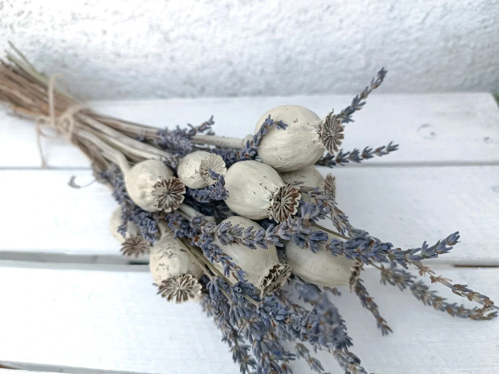 Levandule & Makovice