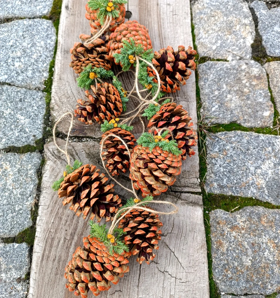 Podzimní šiška, závěs 