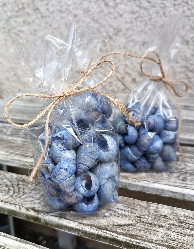 Modré šnečí ulity 