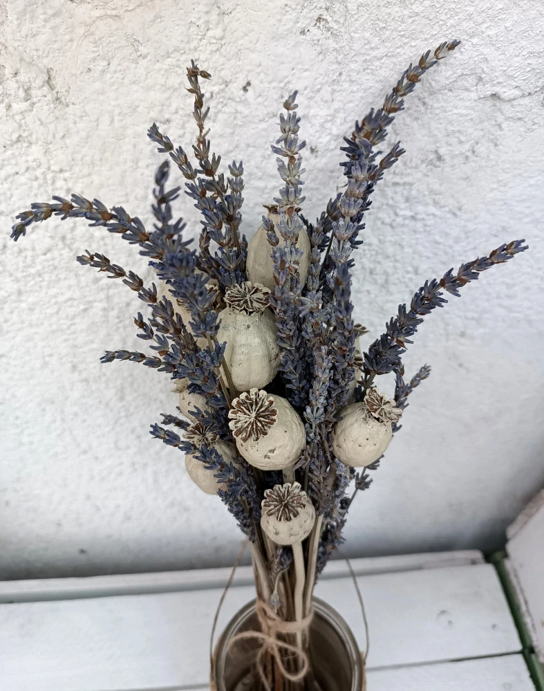 Levandule & Makovice