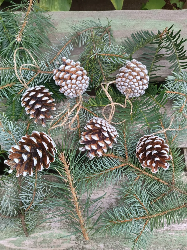 Šiška na jutovém provázku 