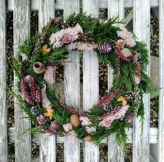 Vřes a růžový mech