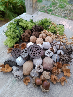 Mix trvanlivých přírodnin 