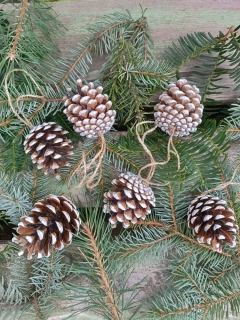 Šiška na jutovém provázku 