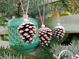 Šiška s dřevěným korálkem 