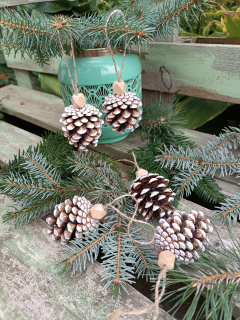 Šiska v seveském stylu