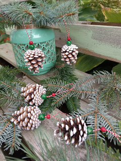 Šiska v americkém stylu 