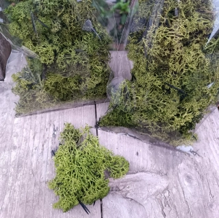 Zelený stabilizovaný mech