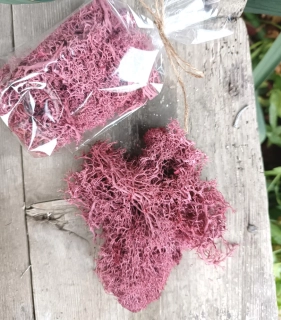 Stabilizovaný mech tmavě růžový