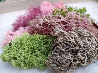 Mix stabilizovaného mechu