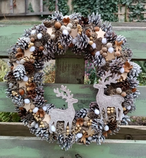 Jelínkovi / znovu bude 2026