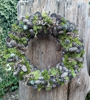 První jarní tráva