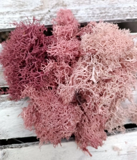 Stabilizovaný mech mix růžové 