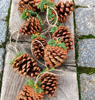 Podzimní šiška, závěs 