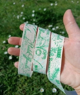 Milujeme bylinky II. 